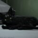 Death Stranding 2 PC ve PS5 Sürümlerine Gelen Yepyeni Özellikler Detaylandı!