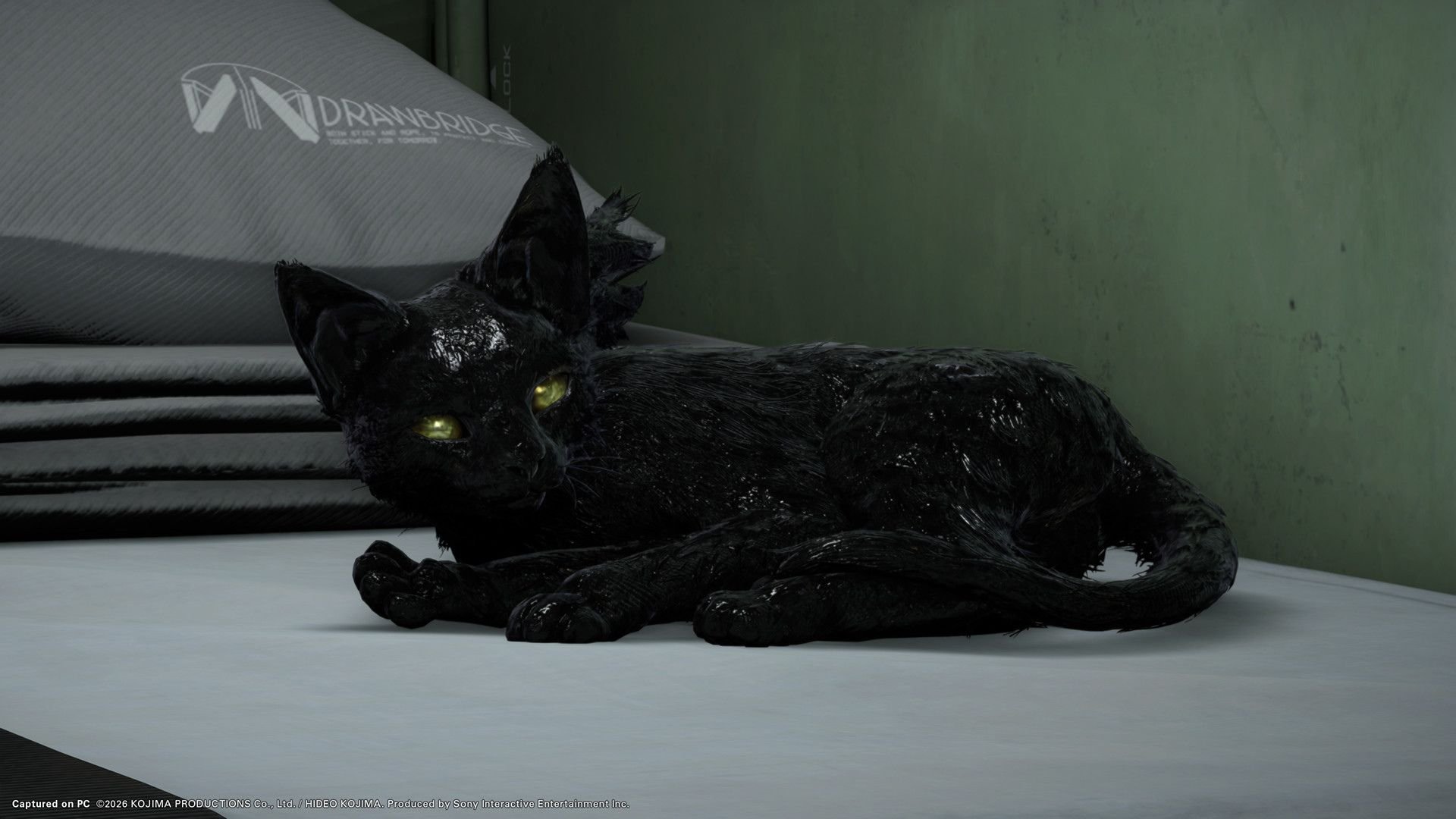 Death Stranding 2 PC ve PS5 Sürümlerine Gelen Yepyeni Özellikler Detaylandı!