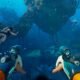 Subnautica 2 Erken Erişim Tarihi Onaylandı: Mayıs 2026'da Derinliklere Dalış Başlıyor!