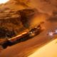 Star Wars: Galactic Racer Çıkış Tarihi ve Deluxe Sürüm Detayları Sızdırıldı!