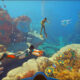 Subnautica 2 Geliştiricisinden "Öldürme" Sorusuna Şaşırtıcı Yanıt