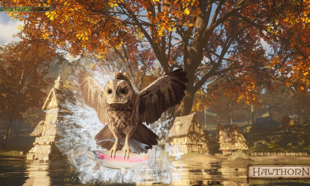 NEARstudios'tan Hawthorn Çıkış Tarihi Hakkında Beklentileri Şekillendiren Açıklama