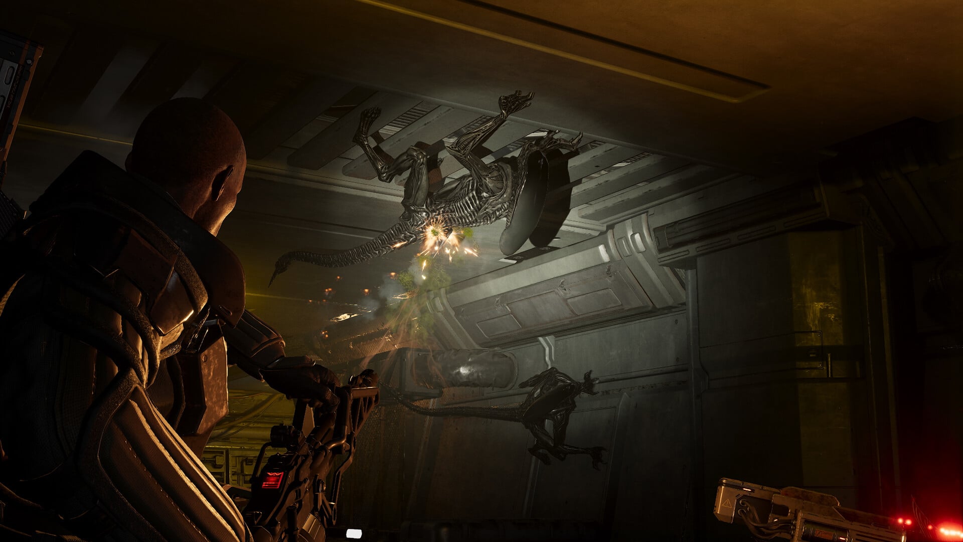 Aliens: Fireteam Elite 2 Geliştiricisi Cold Iron Studios'ta Şok İşten Çıkarmalar