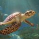 Planet Zoo 2, Çıkış Gününde Steam Rekorlarını Alt Üst Etti!