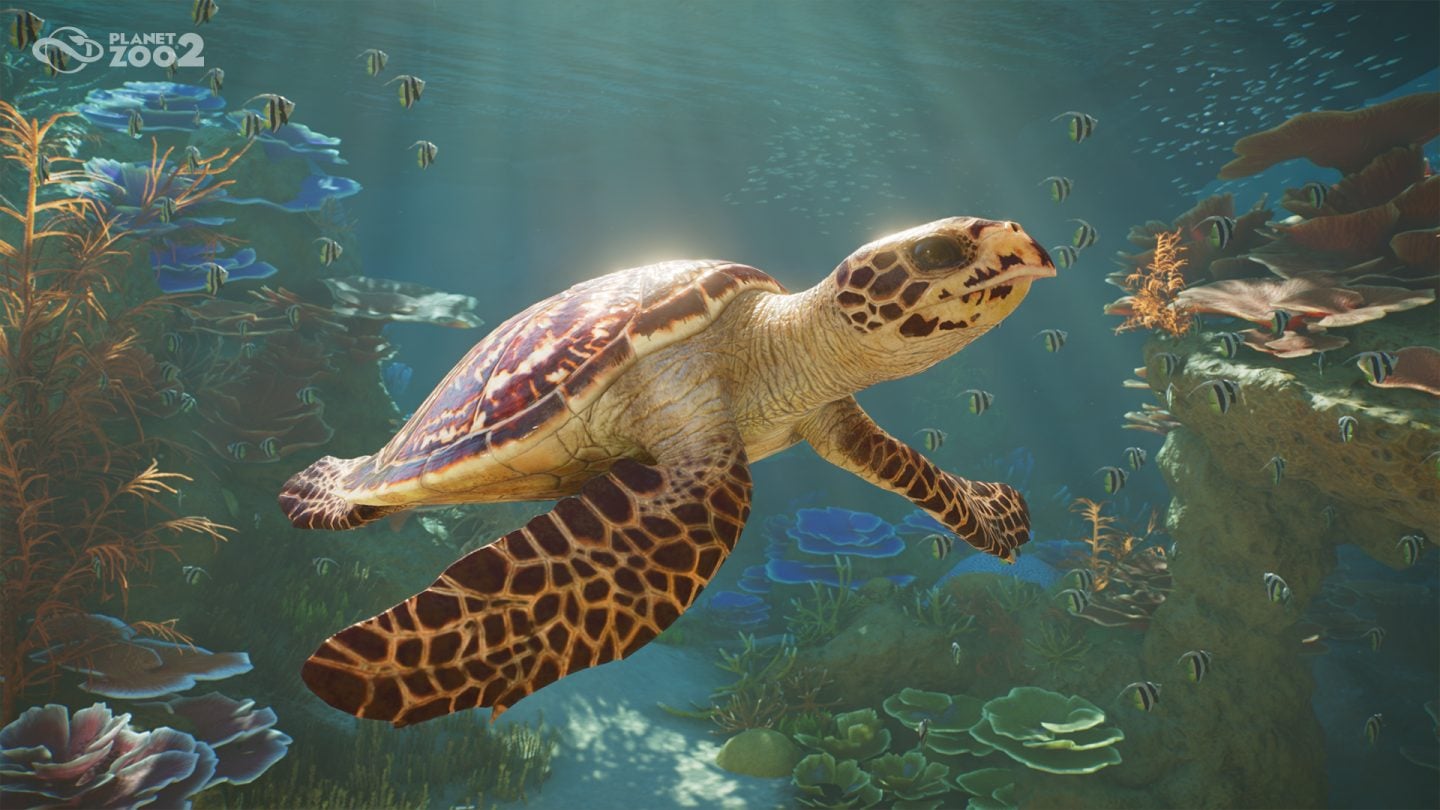 Planet Zoo 2, Çıkış Gününde Steam Rekorlarını Alt Üst Etti!