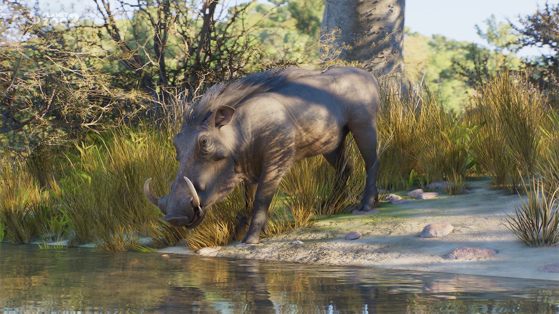 Planet Zoo 2 İlk Yamasıyla Sorunları Gideriyor: Kilitlenmeler ve Franchise Modu Düzeltildi